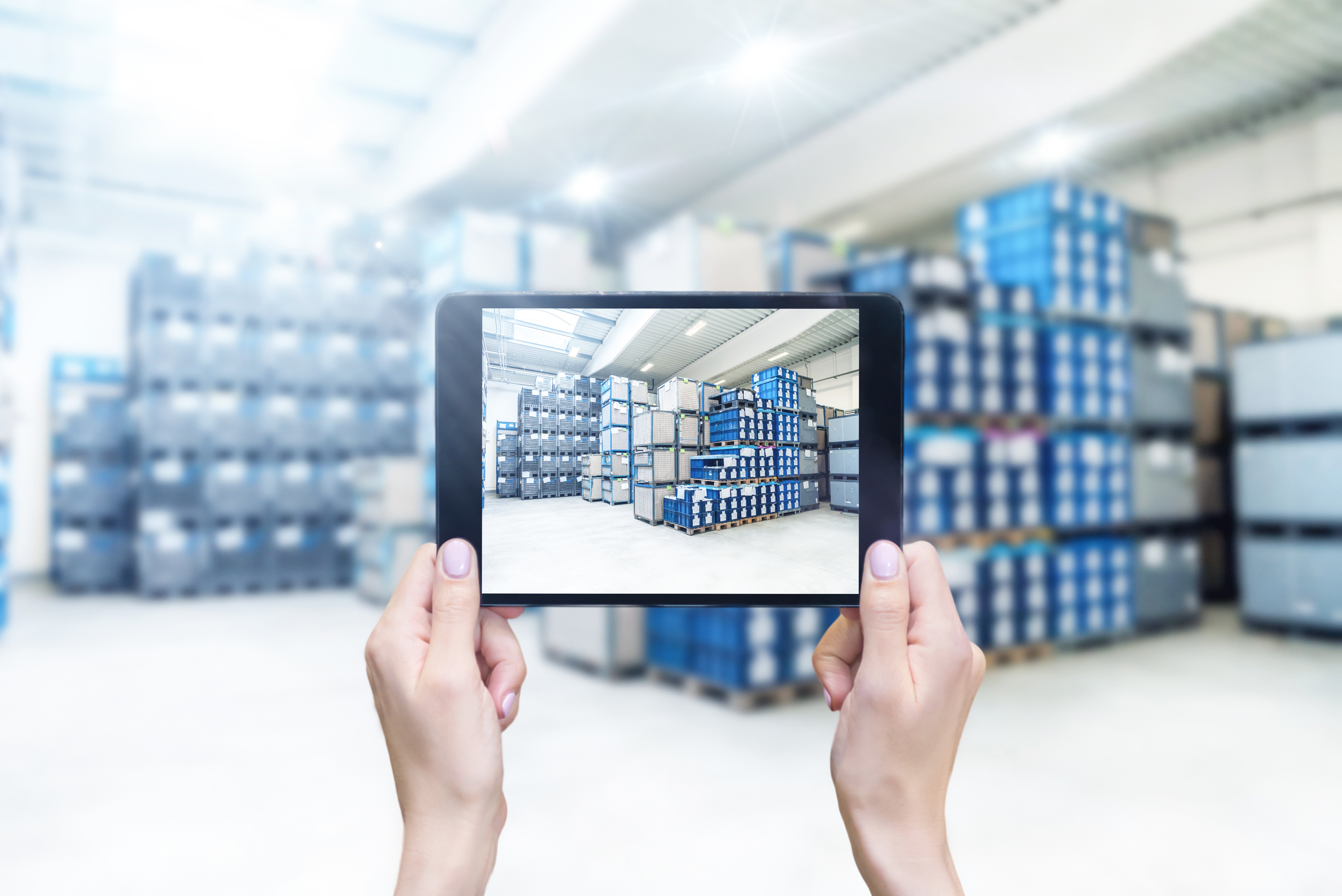 Wholesale Distribution in 2018 White Paper